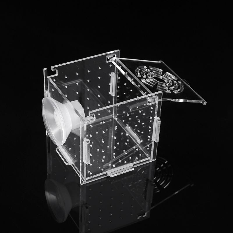 Enhance Your Aquarium Experience with the Aquarium Fish Breeding Isolation Incubator Box